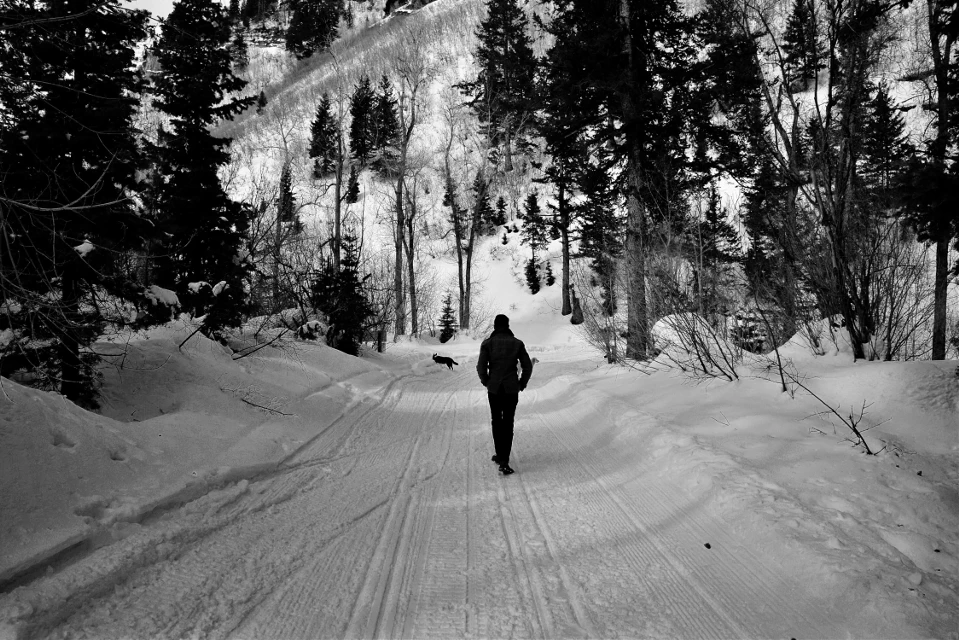 Into the White
#AngelEyesImages#nikon
d5300#nikonphotography
#winter#snow#sundance
#sundanceutah#fte