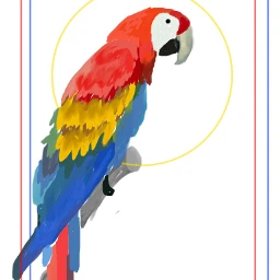 wdpprimarycolors petsandanimals colorful parrot
